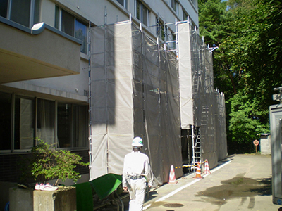 インターンシップ体験
