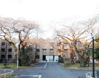 東北大学（片平）本部別館３改修その他工事